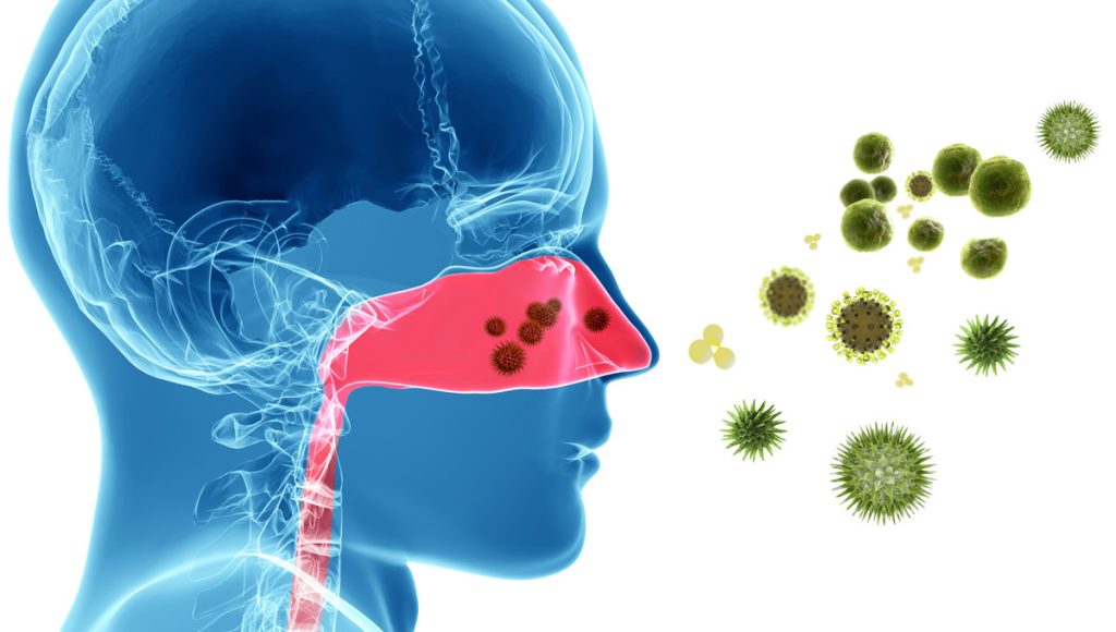 سرماخوردگی و ارتباط آن با گوش درد
