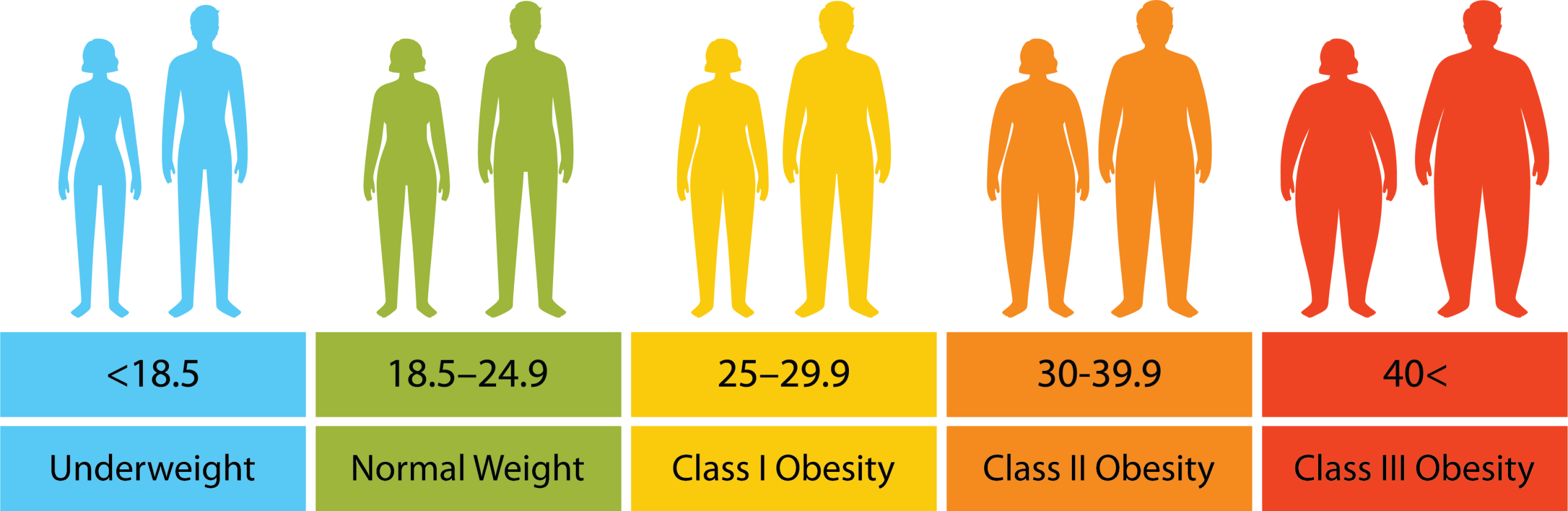 شاخص توده بدنی
