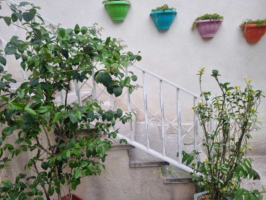 تیم تخصصی و مدیریت درمان